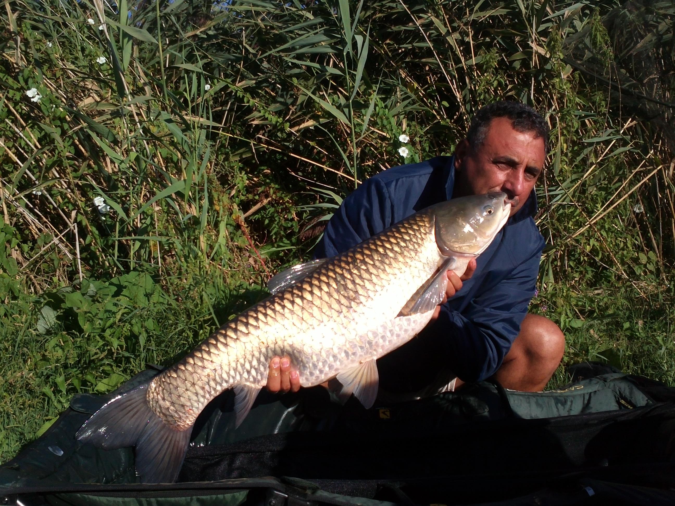 ceva pesti prinsi de mine - 313.jpg